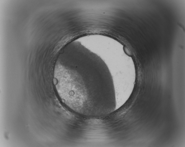 X0000103470577200810241016