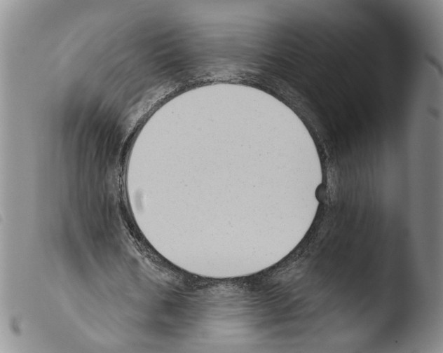 X0000103470578200810241016