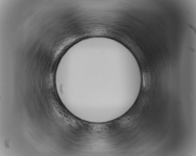 X0000103470579200810241016