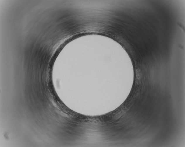 X0000103470580200810241016