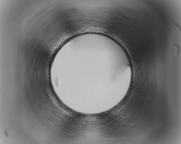 X0000103470581200810241016