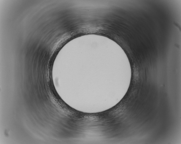 X0000103470582200810241016