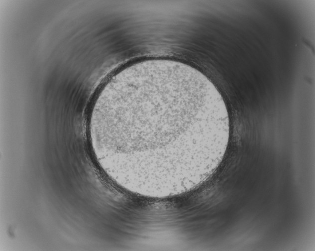 X0000103470584200810241016