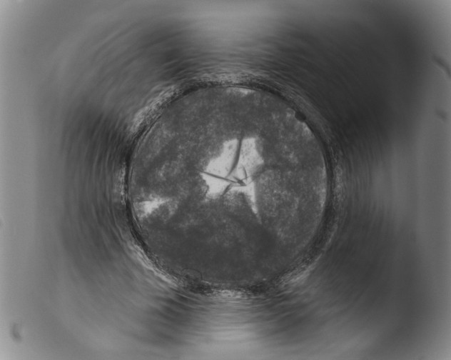 X0000103470585200810241016