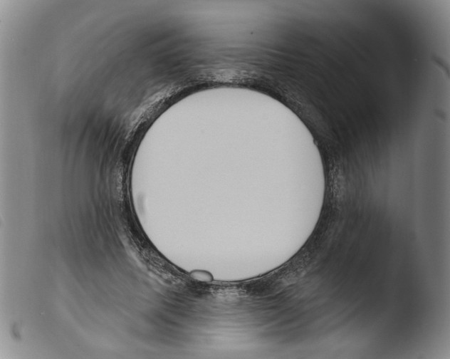 X0000103470587200810241016