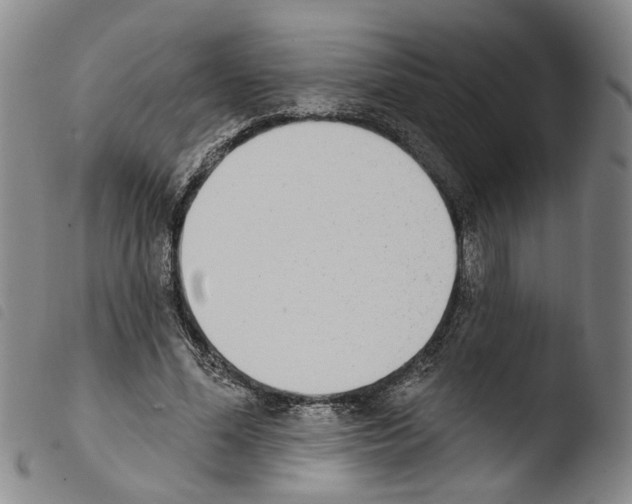 X0000103470588200810241016