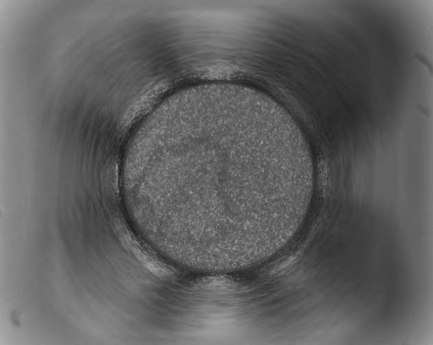 X0000103470589200810241016