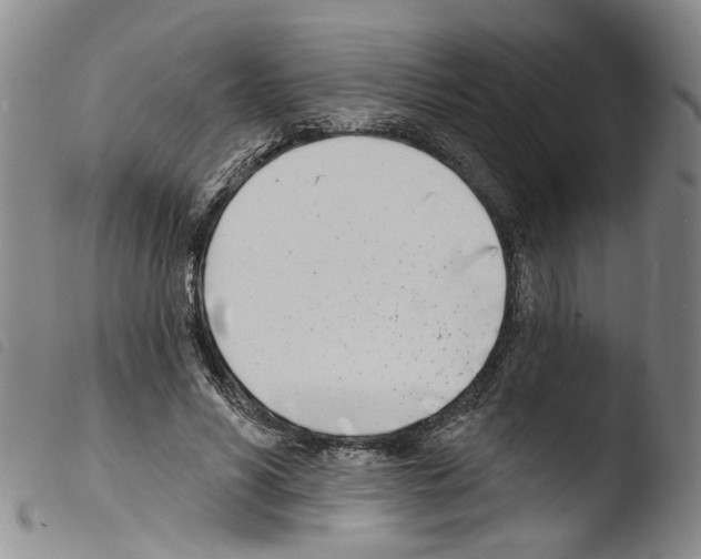 X0000103470590200810241016
