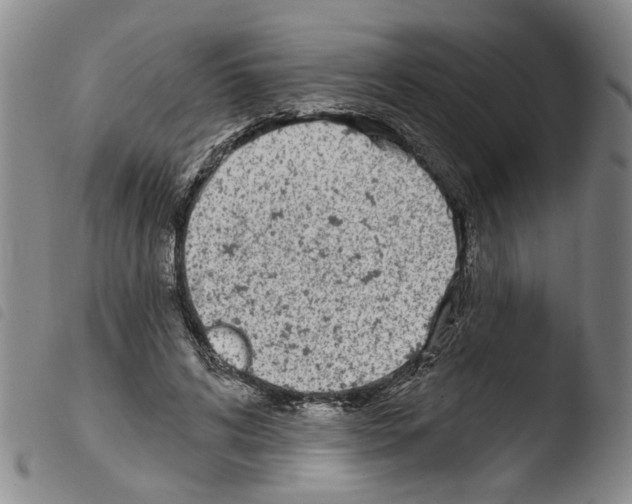X0000103470592200810241016