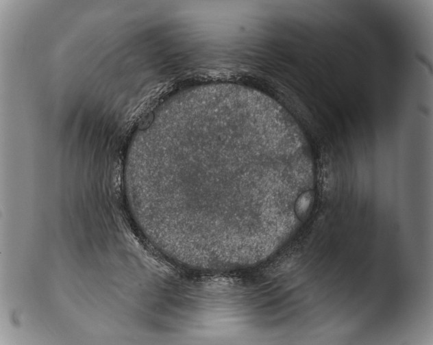 X0000103470593200810241016