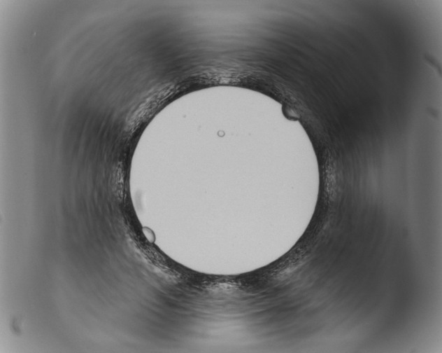 X0000103470594200810241016