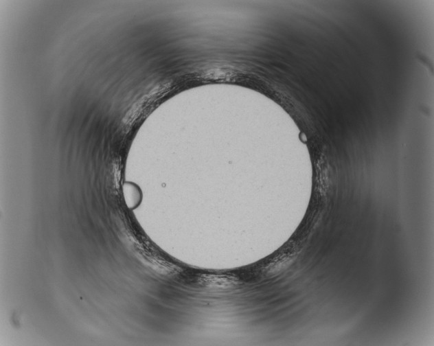 X0000103470597200810241016
