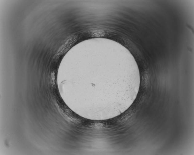 X0000103470598200810241016