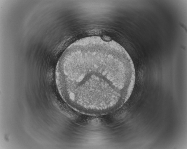 X0000103470600200810241016