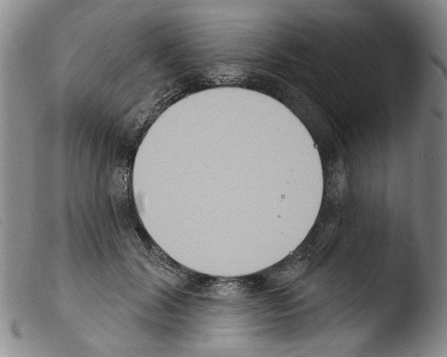 X0000103470604200810241015