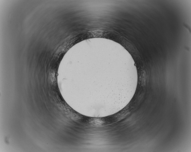 X0000103470610200810241015