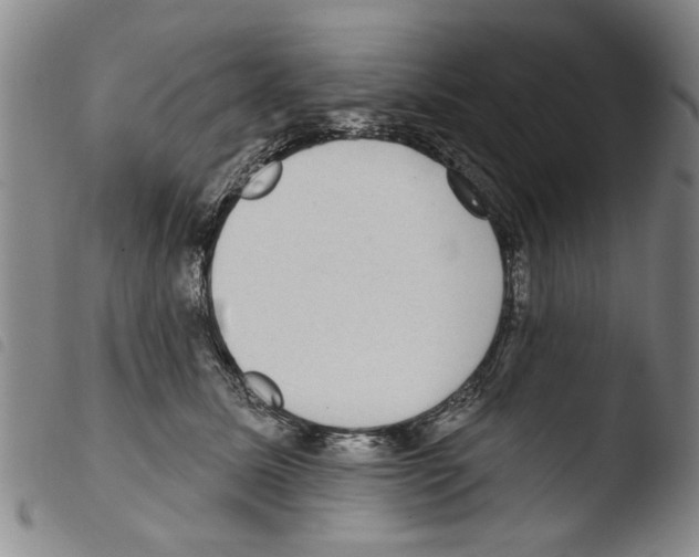 X0000103470611200810241015