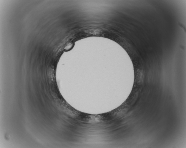 X0000103470612200810241015