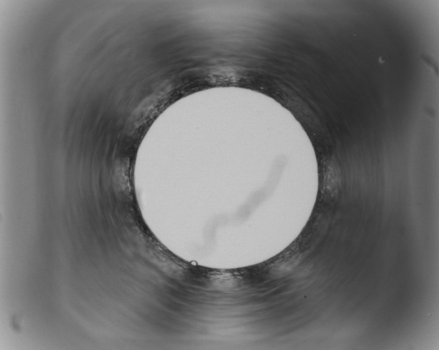 X0000103470616200810241015