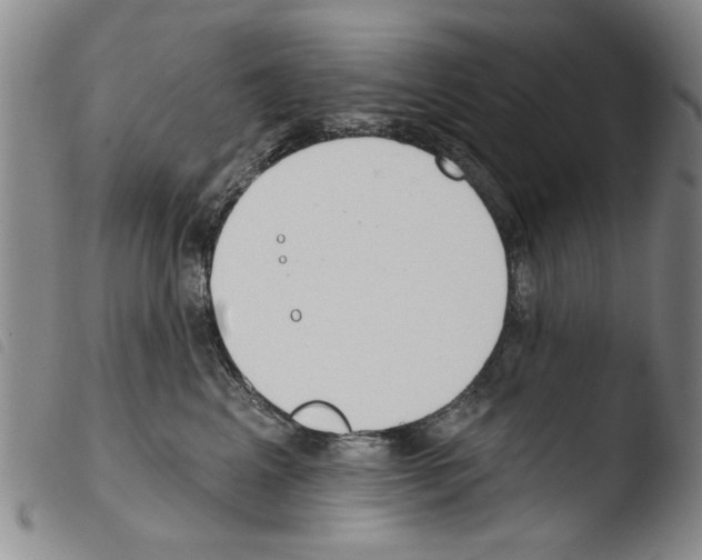 X0000103470617200810241015