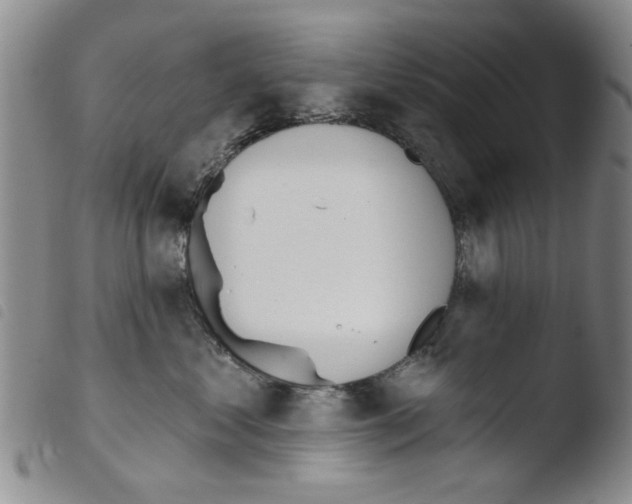X0000103470621200810241015