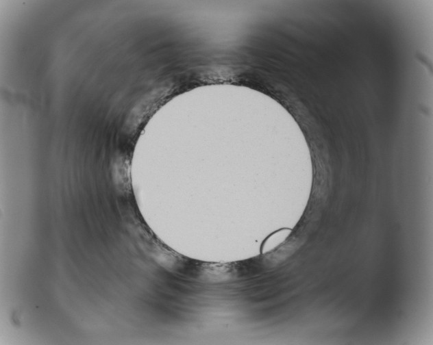 X0000103470624200810241015