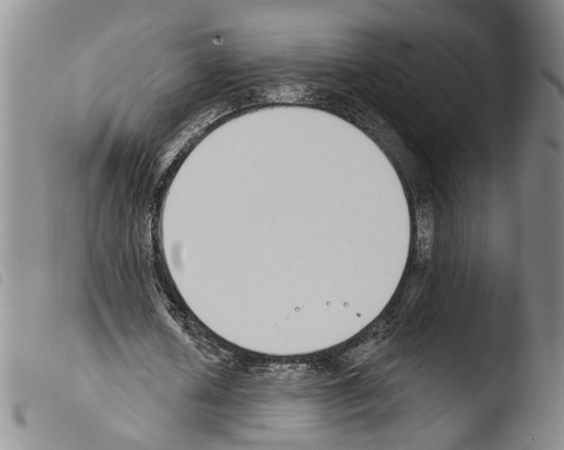 X0000103470626200810241014
