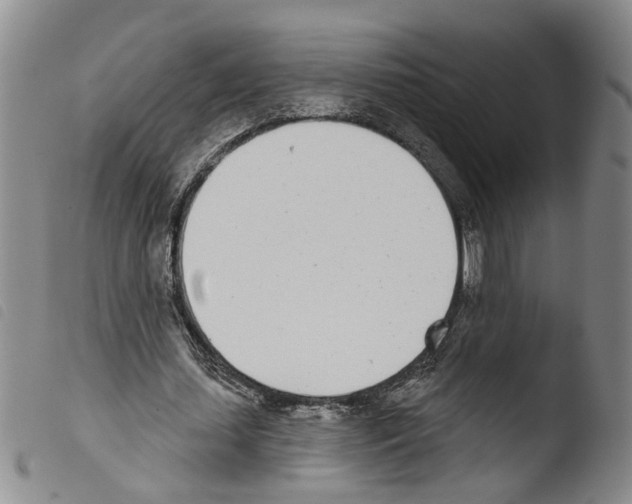 X0000103470627200810241014