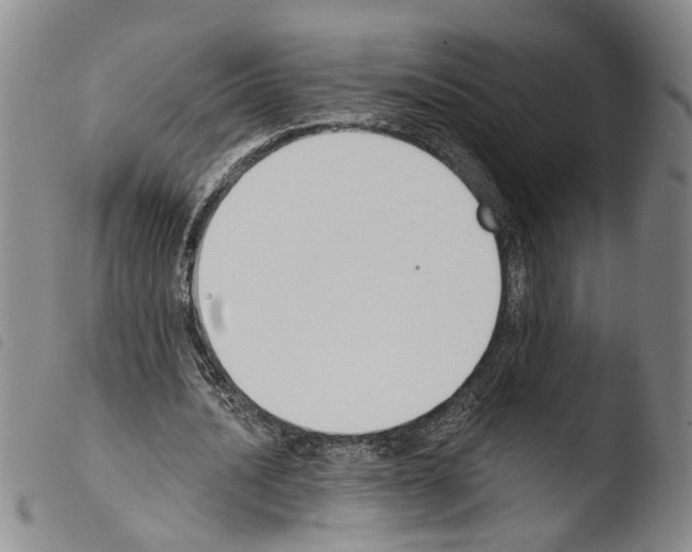 X0000103470628200810241014