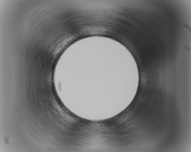 X0000103470629200810241014