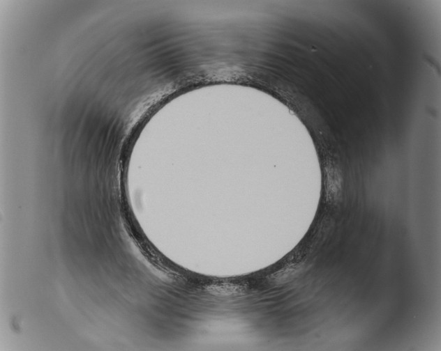 X0000103470630200810241014