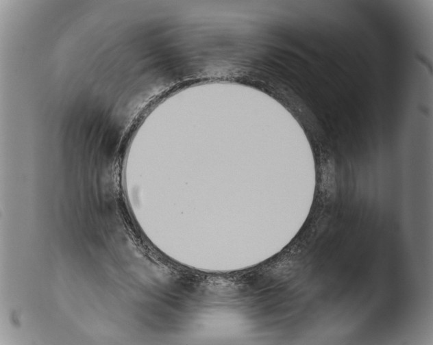 X0000103470632200810241014