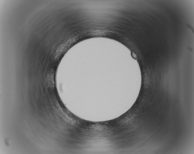 X0000103470633200810241014