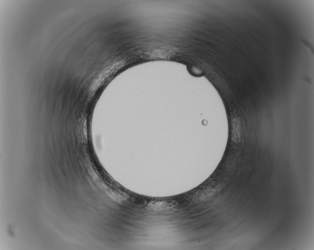X0000103470634200810241014