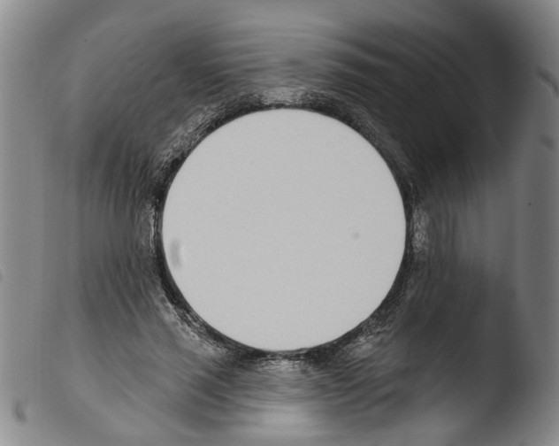 X0000103470637200810241015