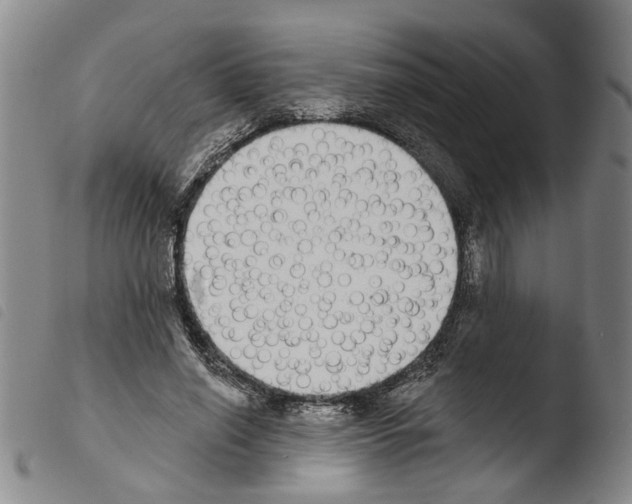 X0000103470638200810241015