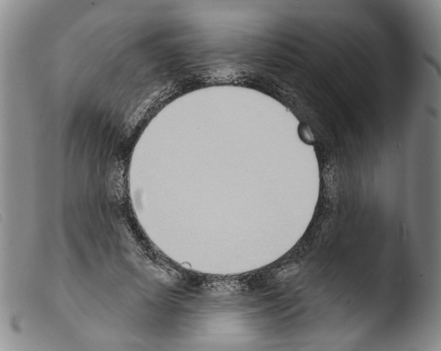 X0000103470642200810241015