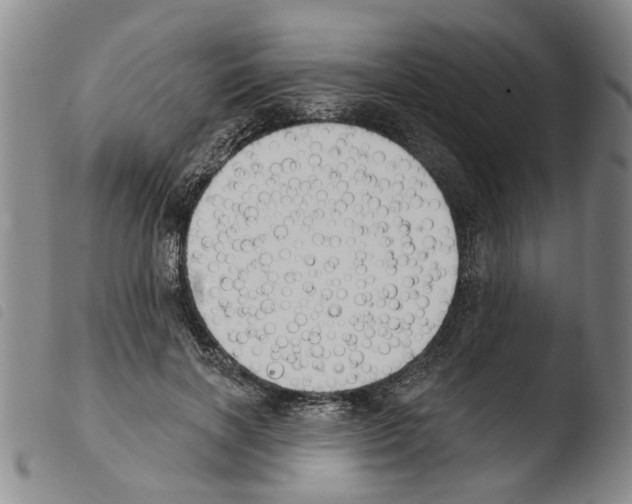 X0000103470646200810241015