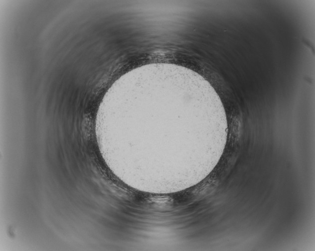 X0000103470659200810241015