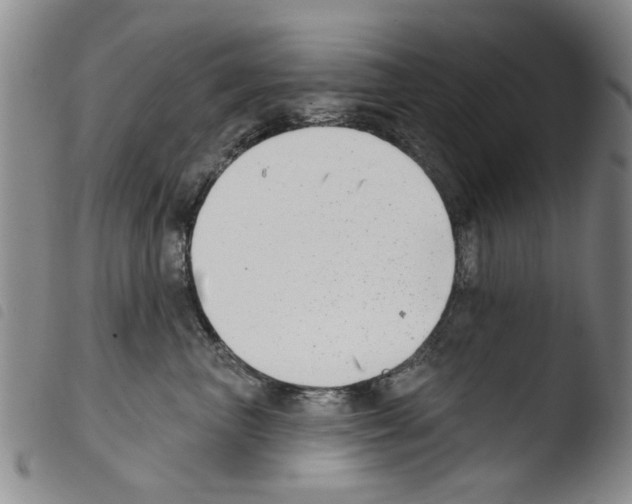 X0000103470667200810241015