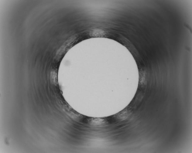 X0000103470669200810241015