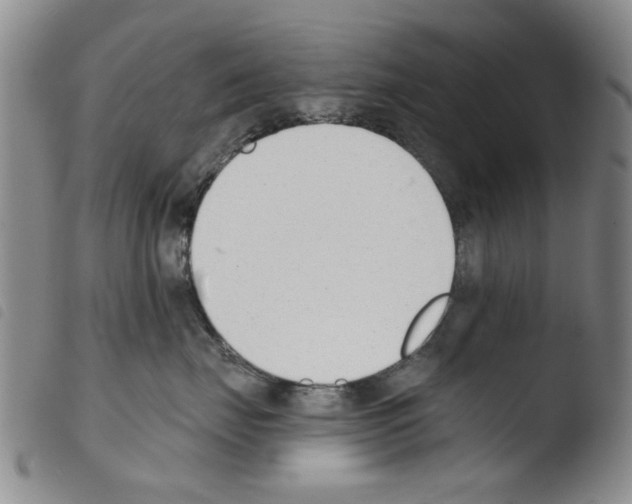 X0000103470671200810241015