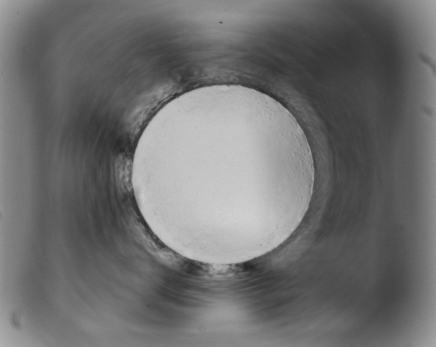 X0000103470672200810241015