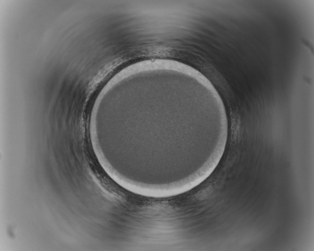 X0000103470674200810241014