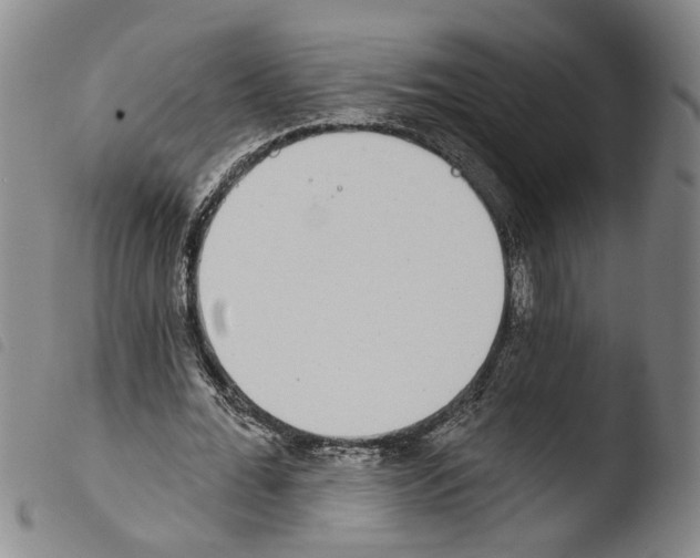 X0000103470676200810241014