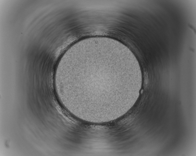 X0000103470677200810241014