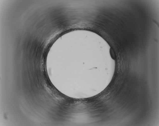 X0000103470680200810241014
