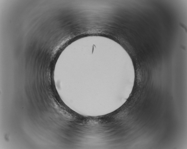 X0000103470684200810241014