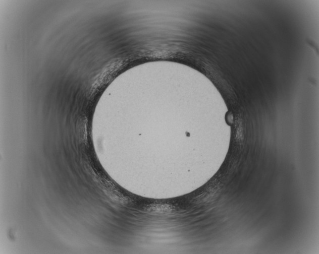 X0000103470685200810241014