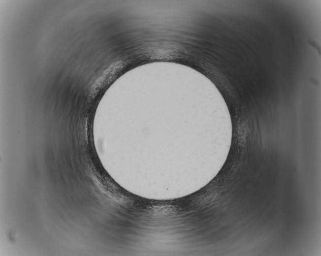 X0000103470686200810241014